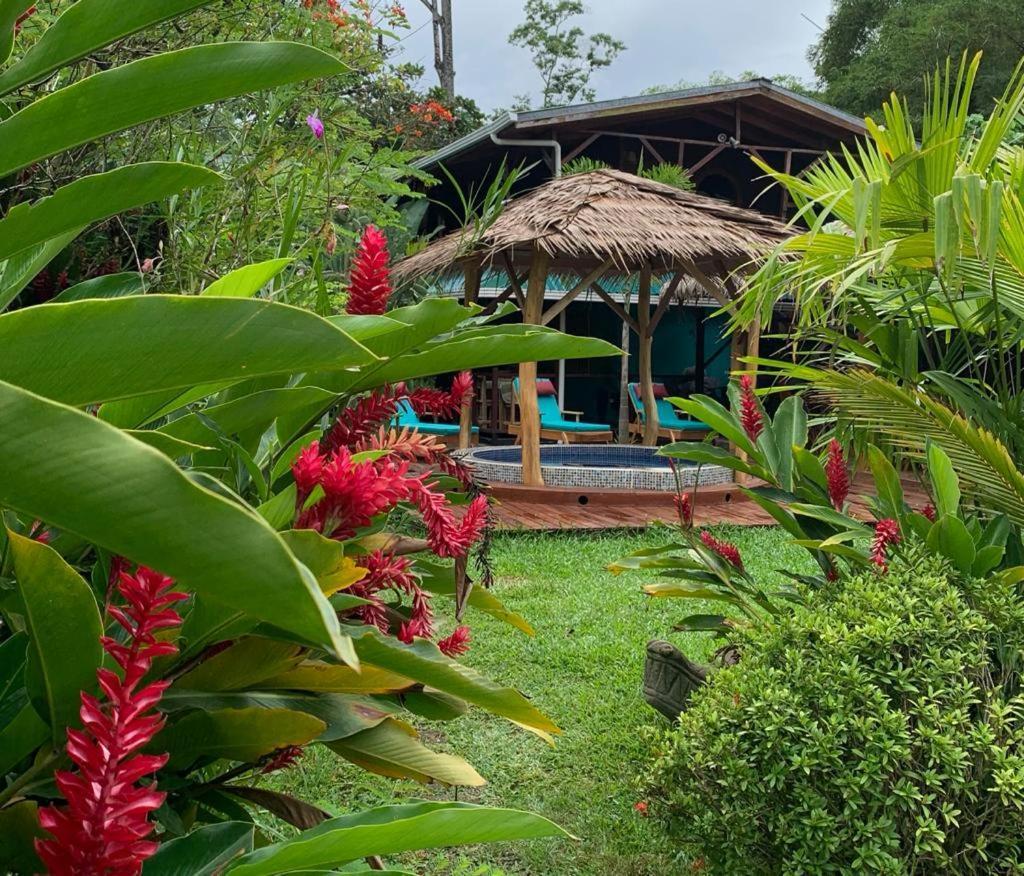 Casa Mambo Bed & Breakfast Cahuita Exterior foto