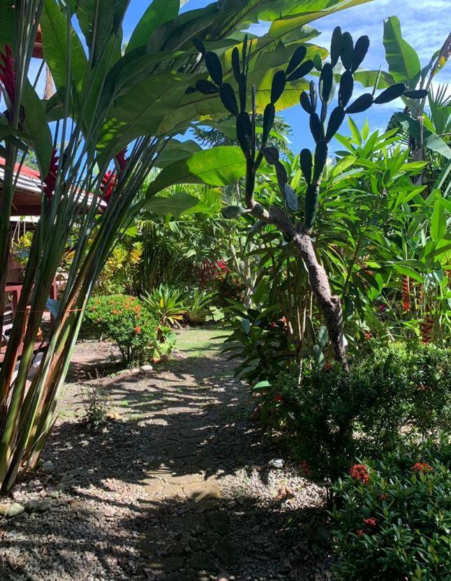 Casa Mambo Bed & Breakfast Cahuita Exterior foto